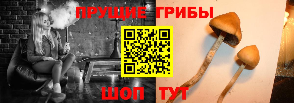 Псилоцибиновые грибы ЛСД Переславль-Залесский